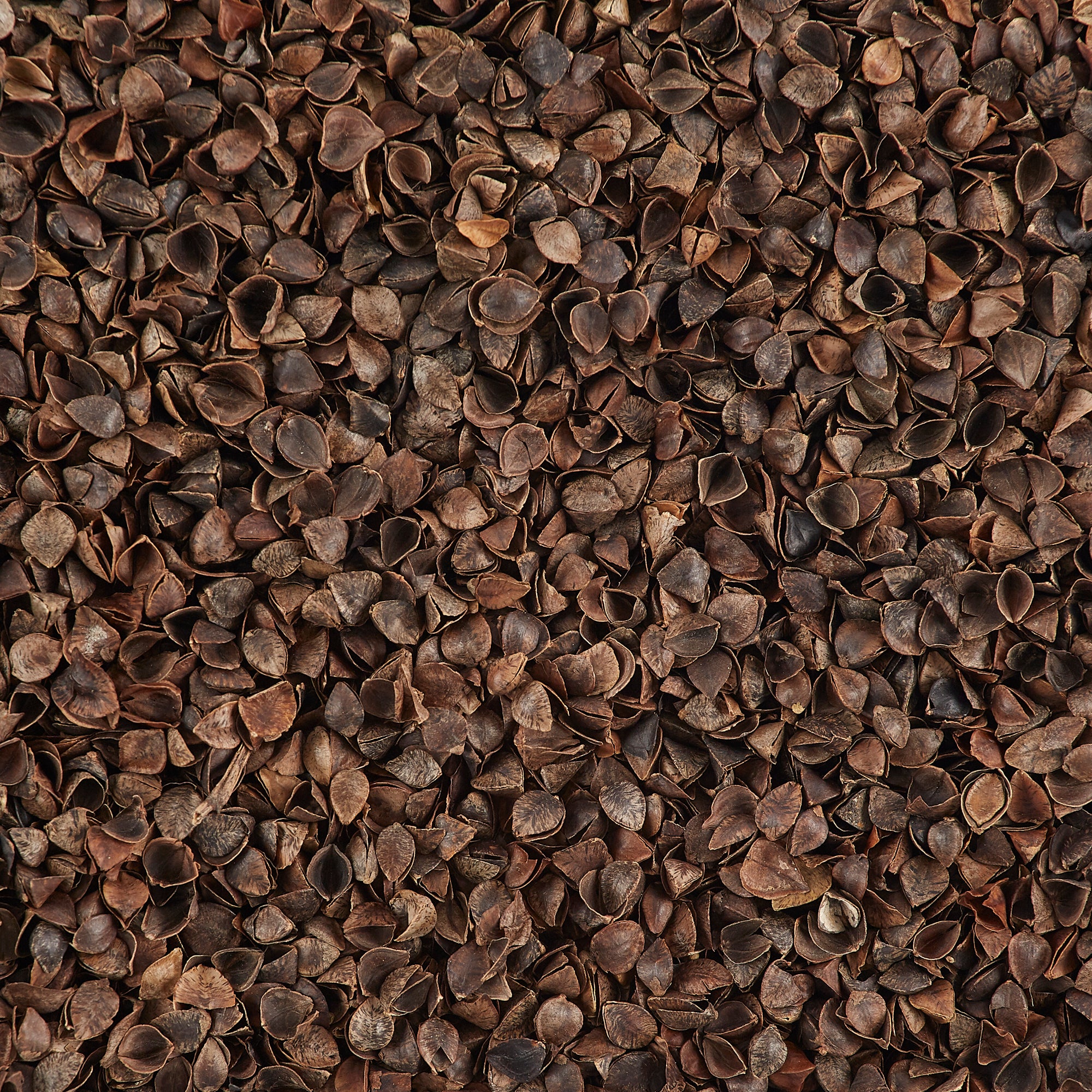 How to spot High Quality Buckwheat Hulls? – PineTales®